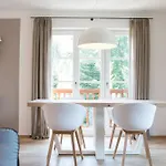 Seesuite Rotta